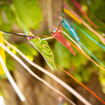 glass bunting